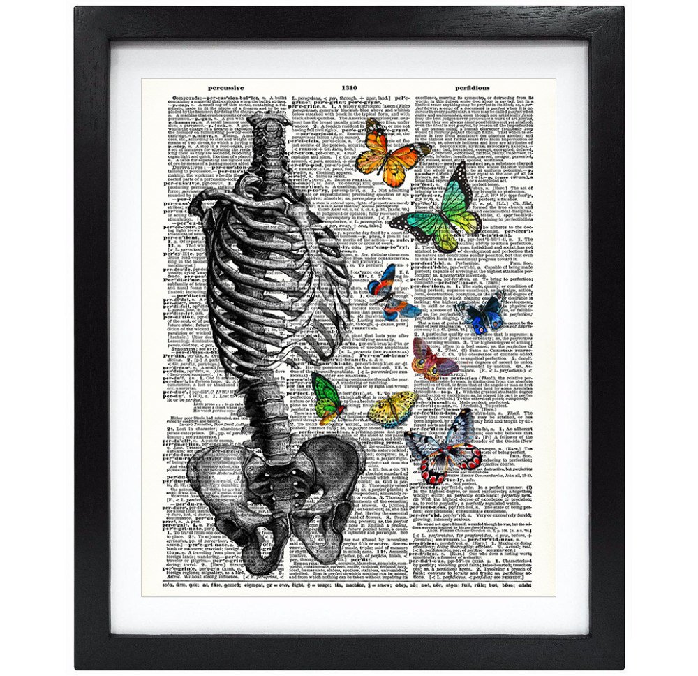 Amazon.co.jp: スージーArts 8 x 10 Unframed Human Skeleton